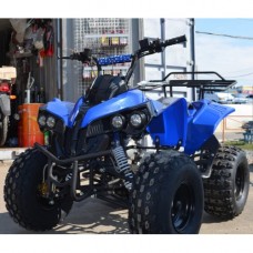 ATV FY 125 ST16 sportage синий